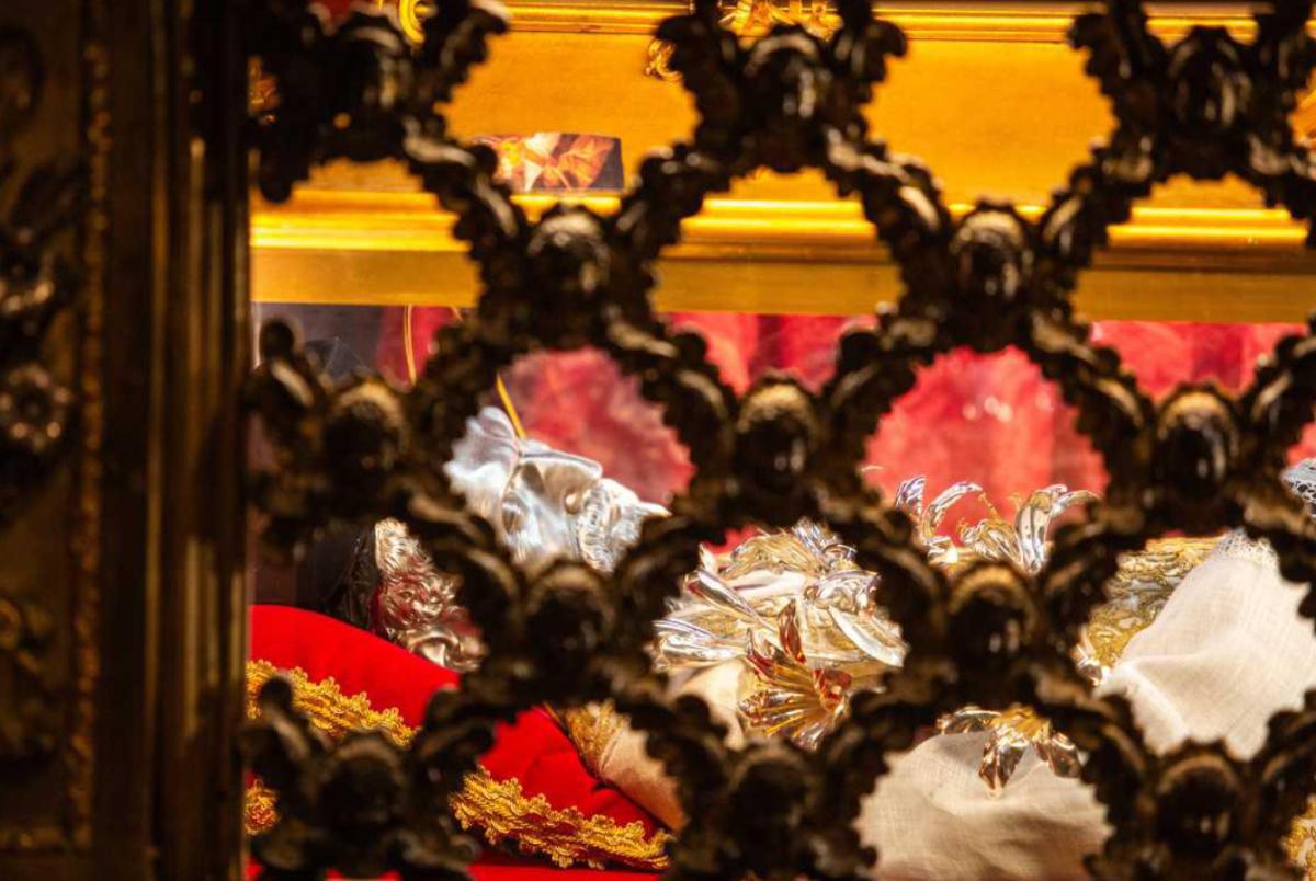 Bl. Ivan Merz - Basilica of Sant'Andrea della Valle Bl. Ivan Merz - Basilica of Sant'Andrea della Valle