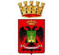 Ordinanze della Polizia Locale 