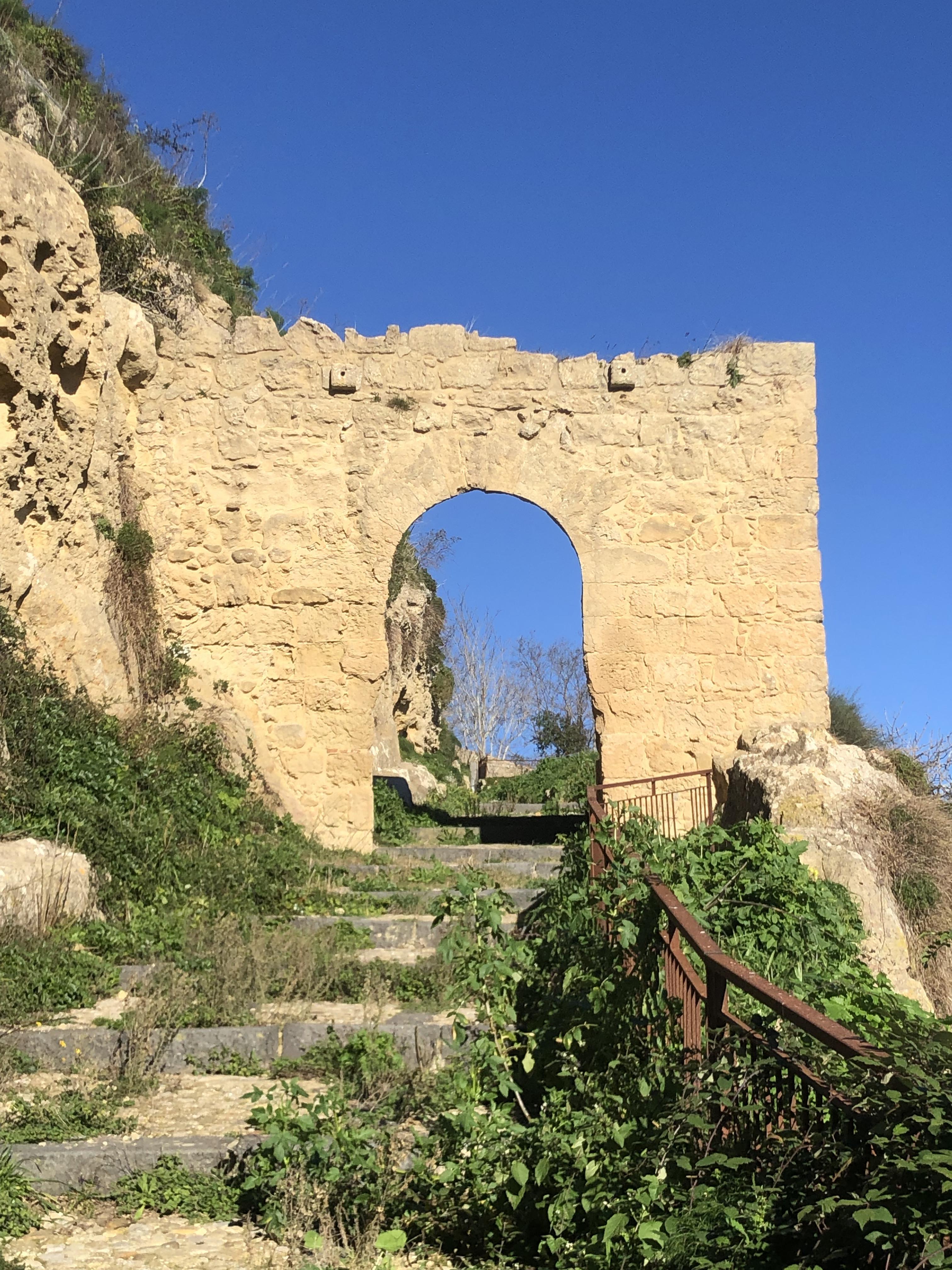 Ph Francesco Naselli