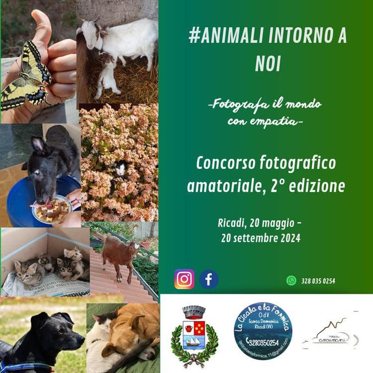 Animali Intorno a Noi - fotografa il mondo con empatia - Concorso fotografico amatoriale, 2ª edizione