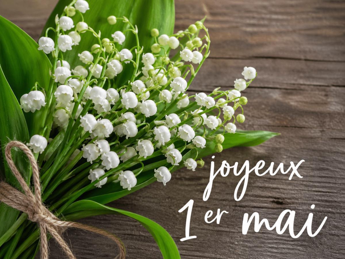 Muguet porte-bonheur du jour
