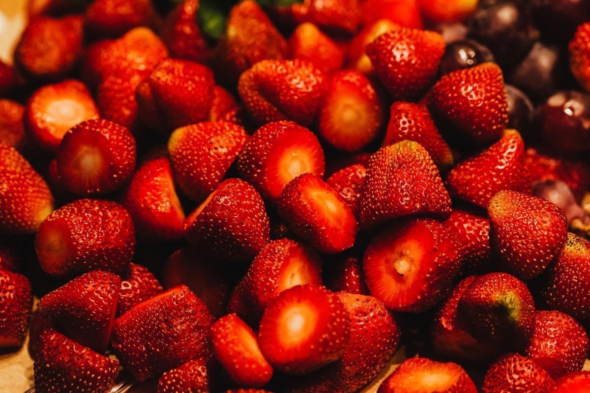 Nos propositions portent leurs fruits 