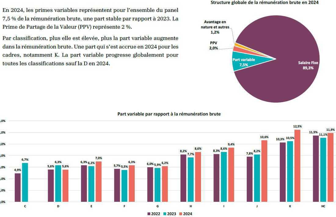 Bilan Social 2024