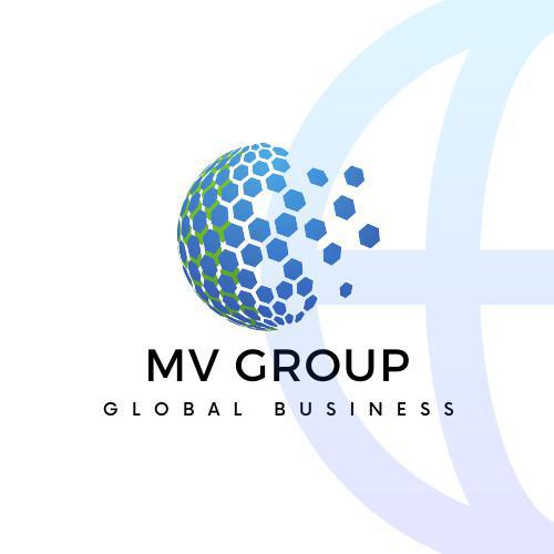 Perchè MV Group?