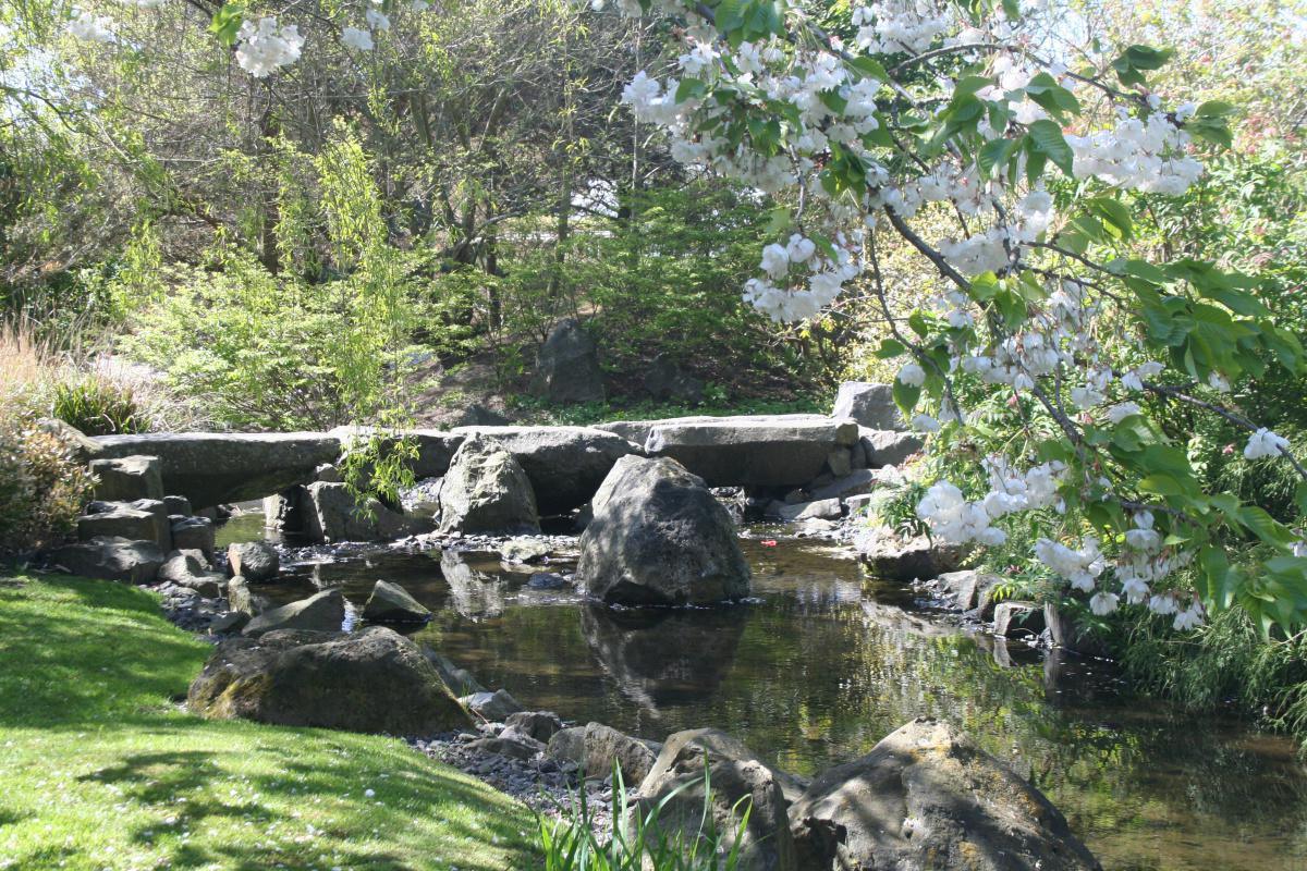 Hortus Overzee Hortus Overzee