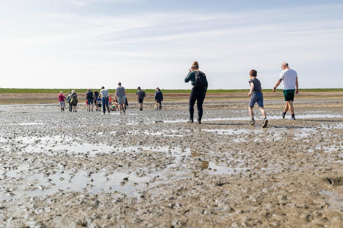 Start je weekend op het wad