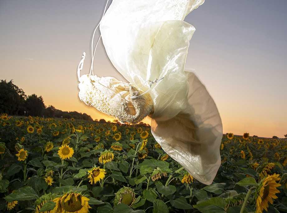 Expositie La Dance | George Maas