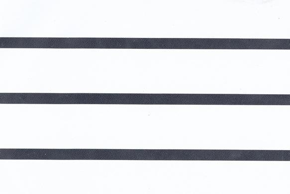 PF06-1