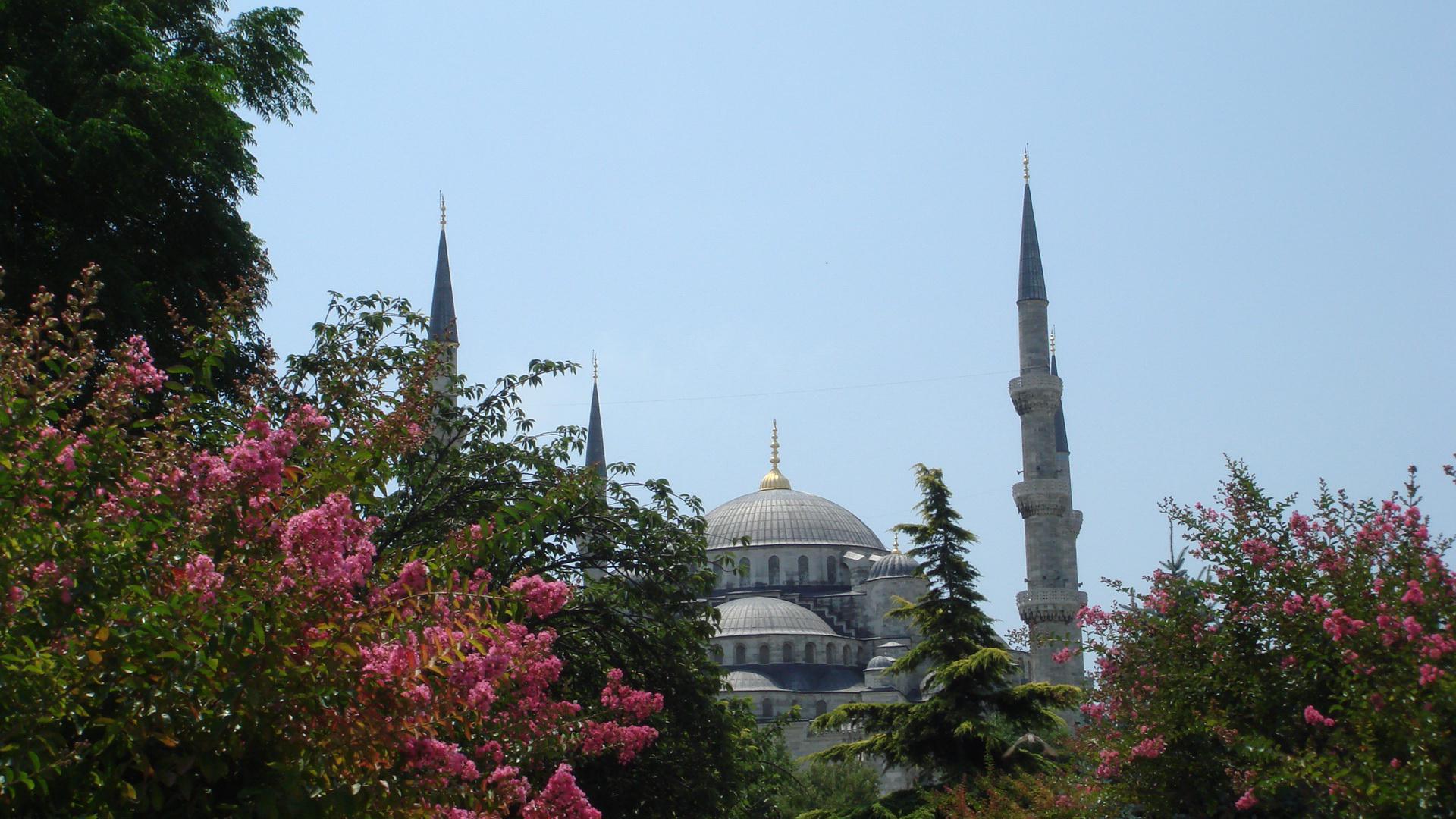 Sultan Ahmed Mosque in Istanbul (8)