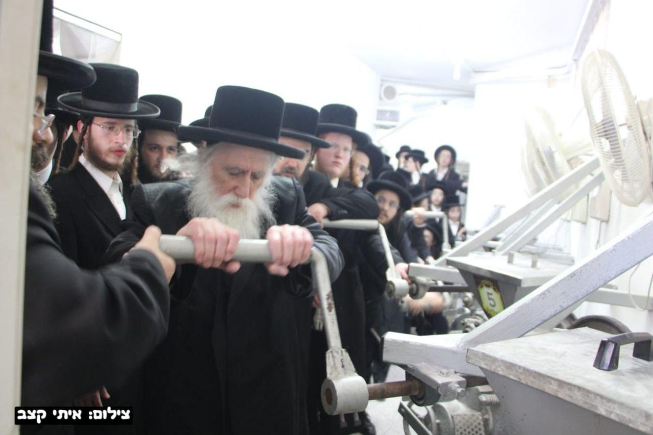 Le Rabbi de Makhnovka Belza moulant du blé pour faire du matzoh