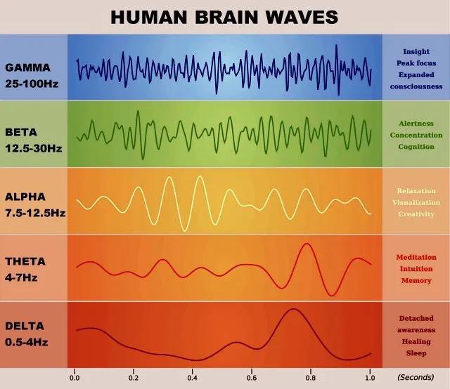 BRAINWAVES BRAINWAVES