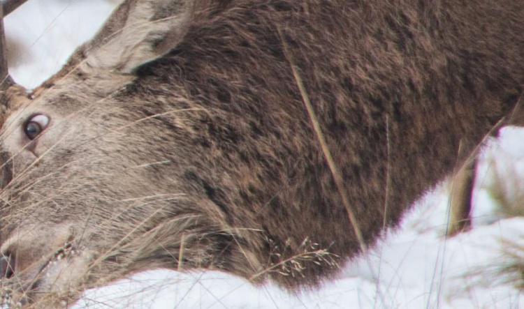 Why Are You Arguing with the World?