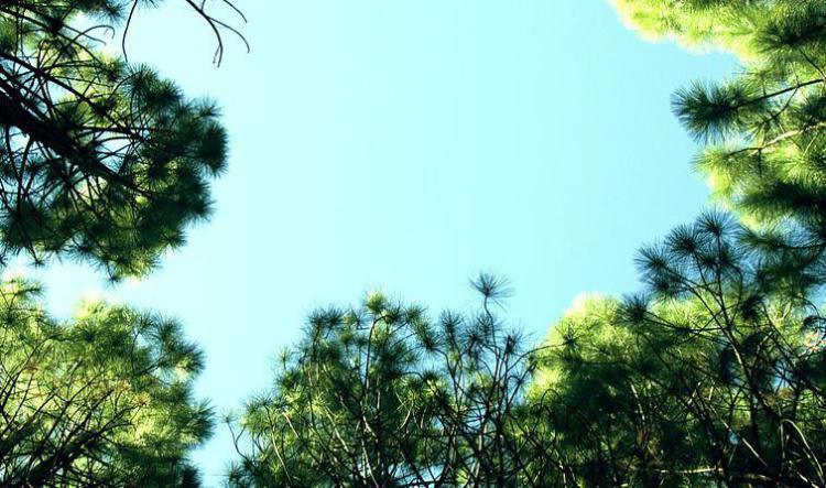 Practicing Optimism for an Optimal State of Mind