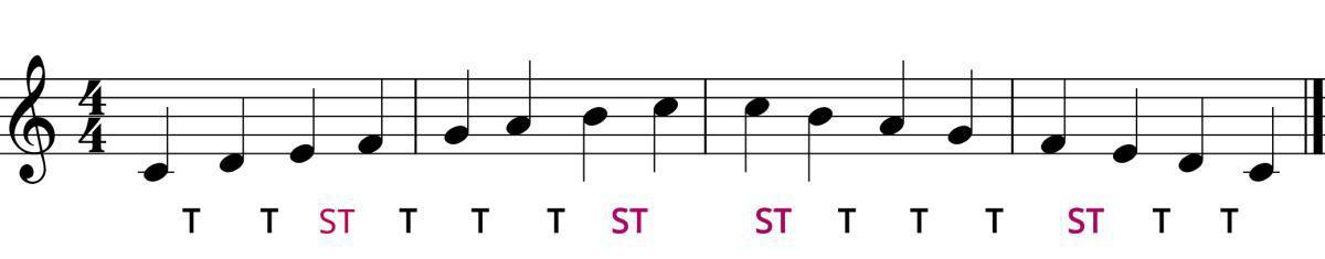 Scales