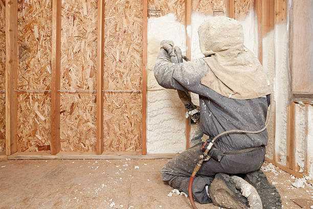 Why you need Insulation? Why you need Insulation?