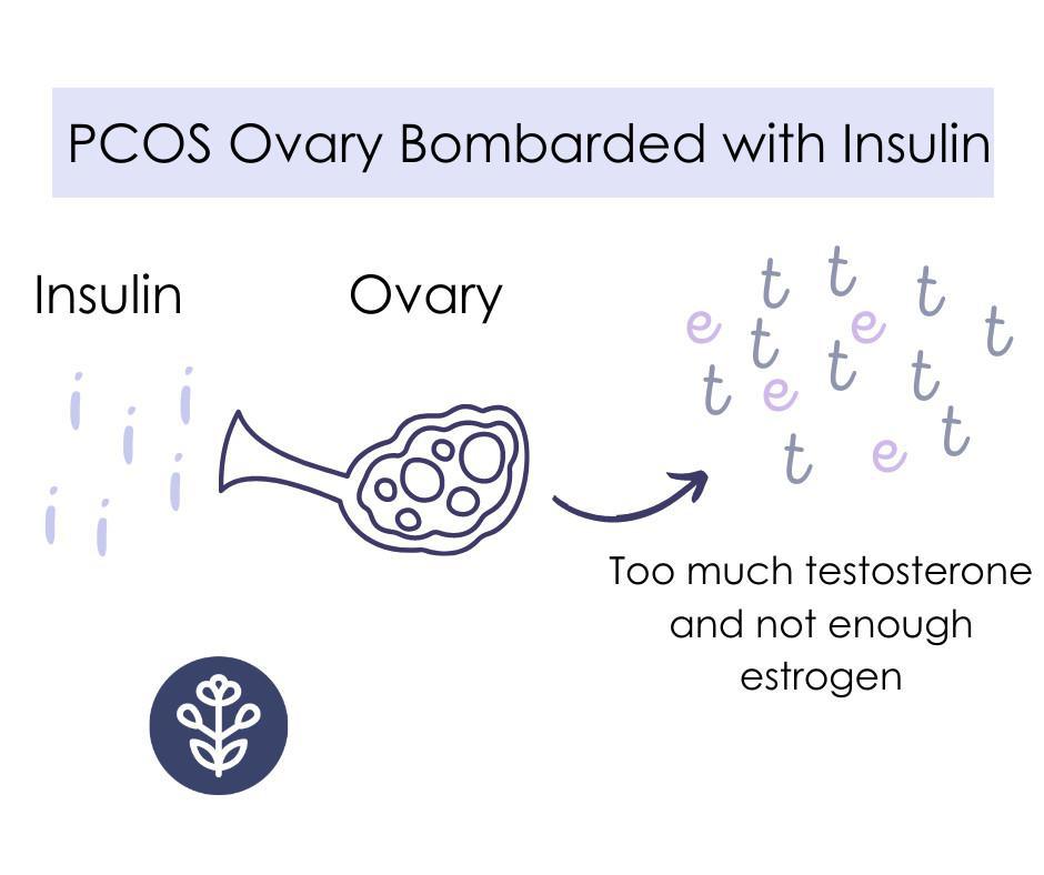 Inositol Supplements for PCOS