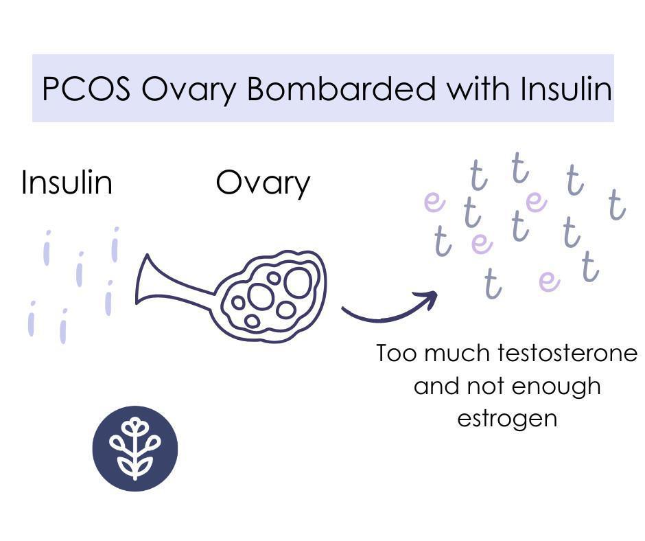 Inositol Supplements for PCOS Inositol Supplements for PCOS