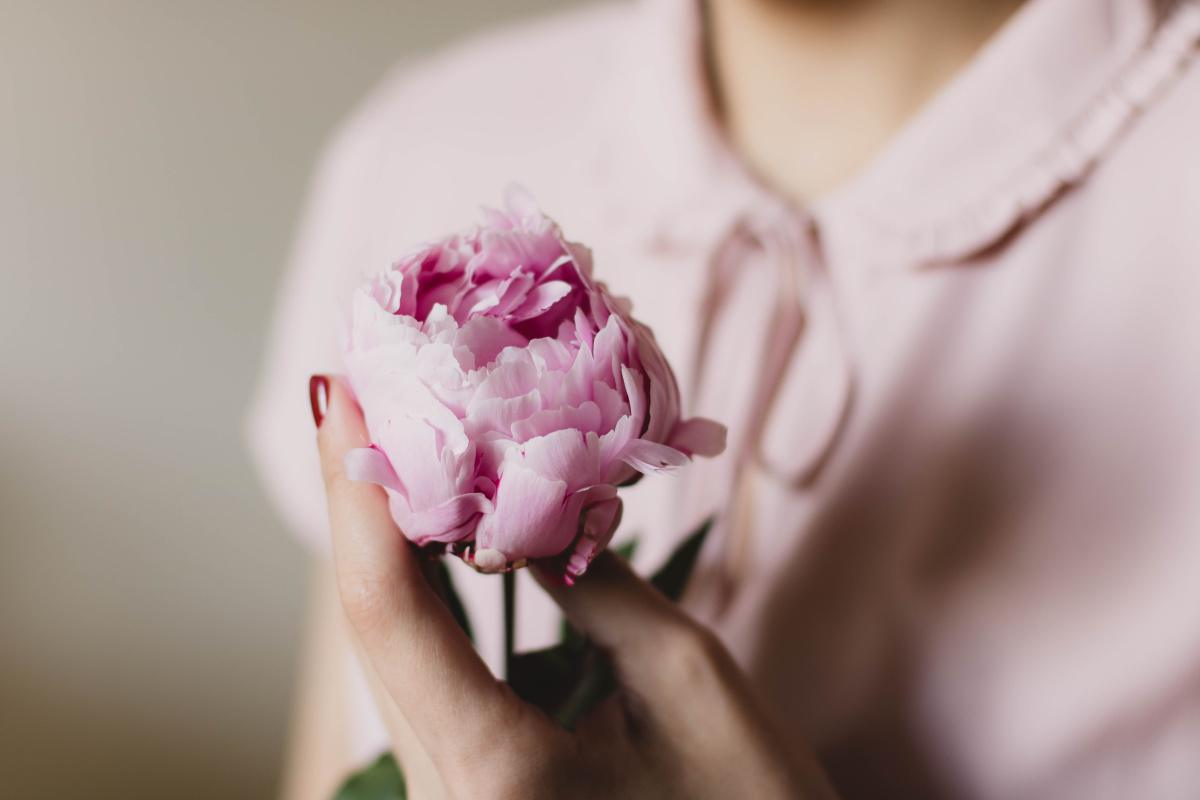 Peony and PCOS: Could this be the missing link to help you ovulate? Peony and PCOS: Could this be the missing link to help you ovulate?