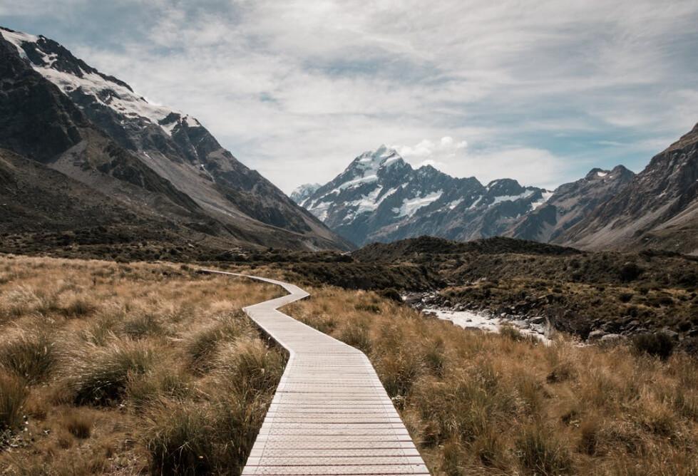 Your Fertility Journey Starts Here 🗺️💜
