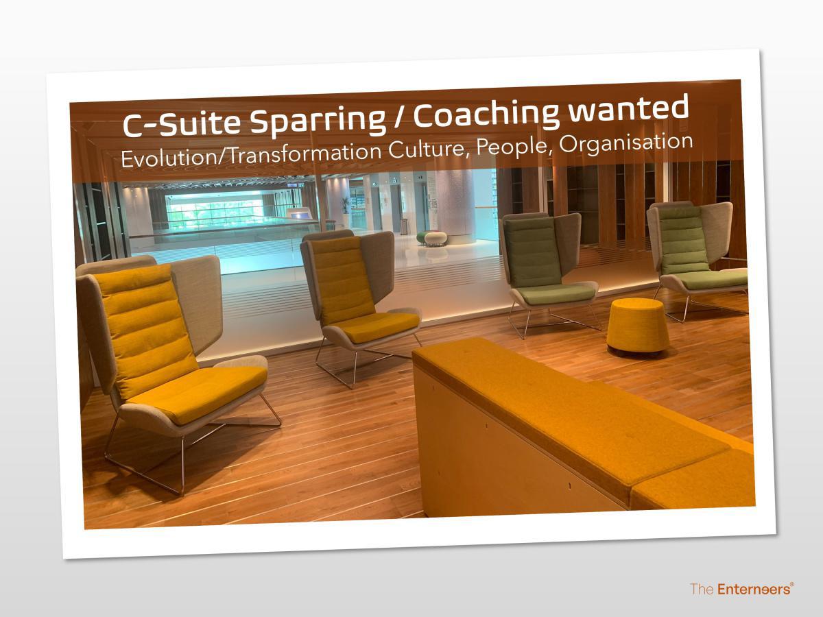 C-suite coaching / sparring wanted
