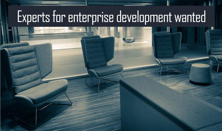 Knowing WHEN to involve WHICH external experts and WHY