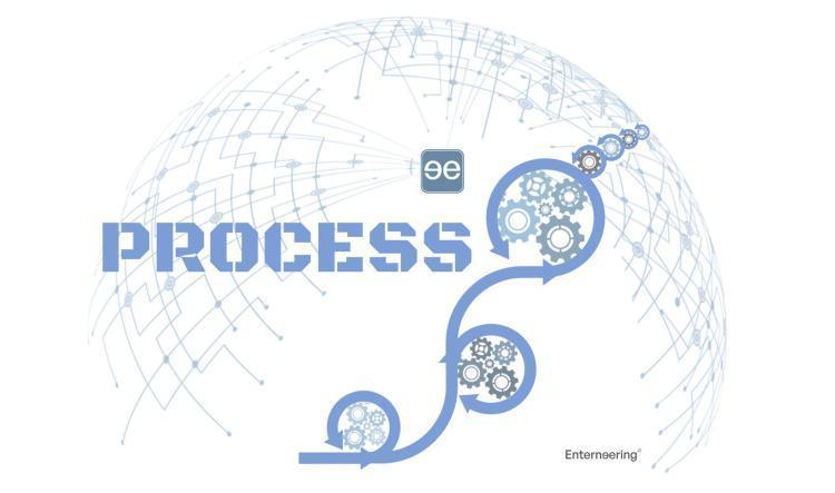 Enterneering® Process at a Glance