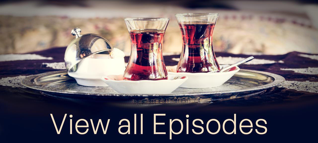 NETstory-banner_view-all-episodes_edited