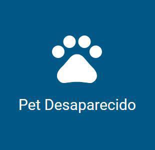 Pet Desaparecido