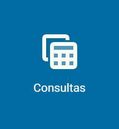Consultas Consultas