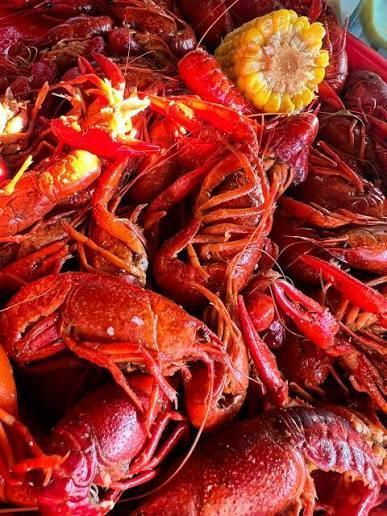 Cajun Cowbeauxs (Port Arthur)