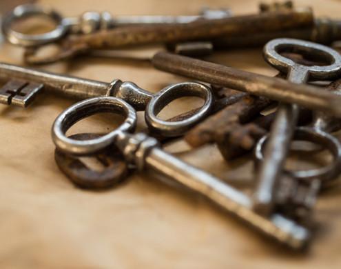 Les Entraînements Les Entraînements