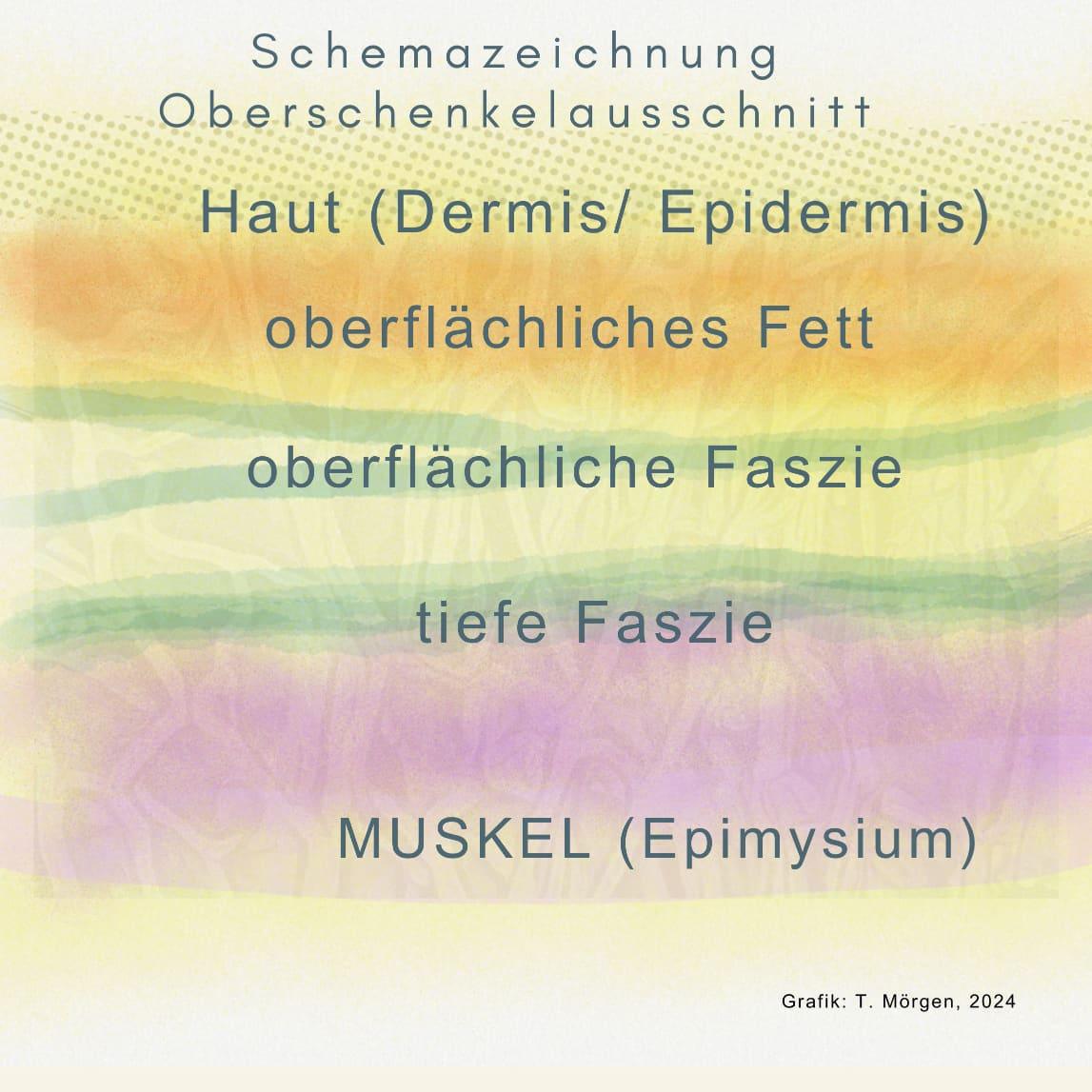 Faszien und Beschwerden Faszien und Beschwerden