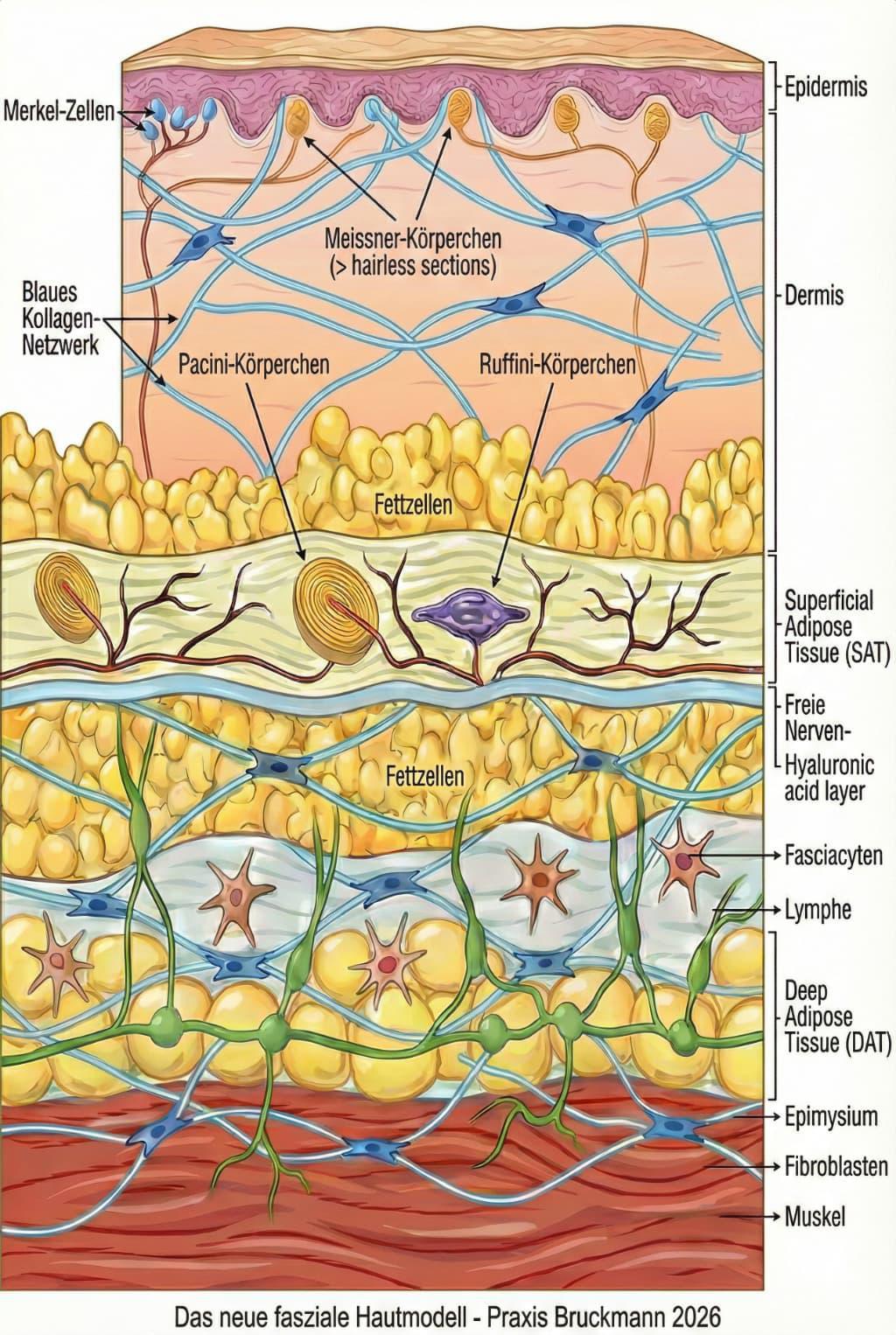Wächter und Motoren des Schmerzes
