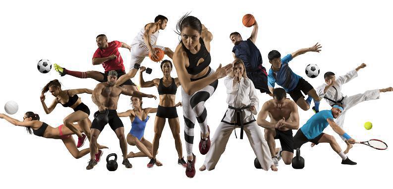 CSE Espace Sport, Culture & Loisirs CSE Espace Sport, Culture & Loisirs