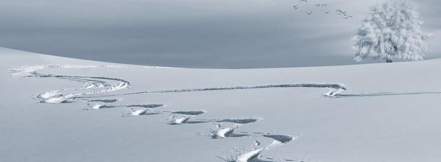 Section Ski de Loisirs 2 week-end Section Ski de Loisirs 2 week-end