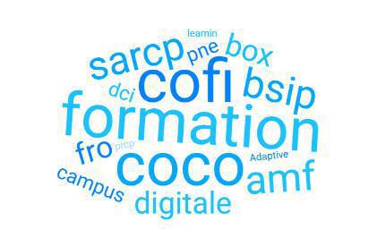 Nouveaux parcours de formation – COCO, COFI et SARCP Nouveaux parcours de formation – COCO, COFI et SARCP