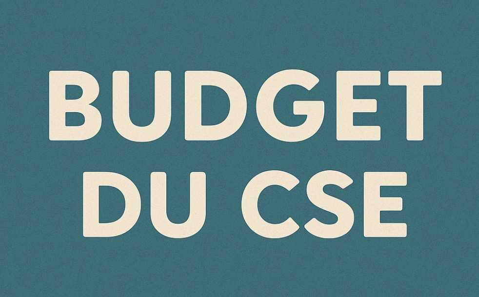 Budget CSE CEIDF 2025-2026