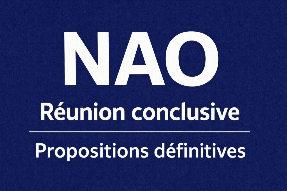 NAO à la CEIDF NAO à la CEIDF