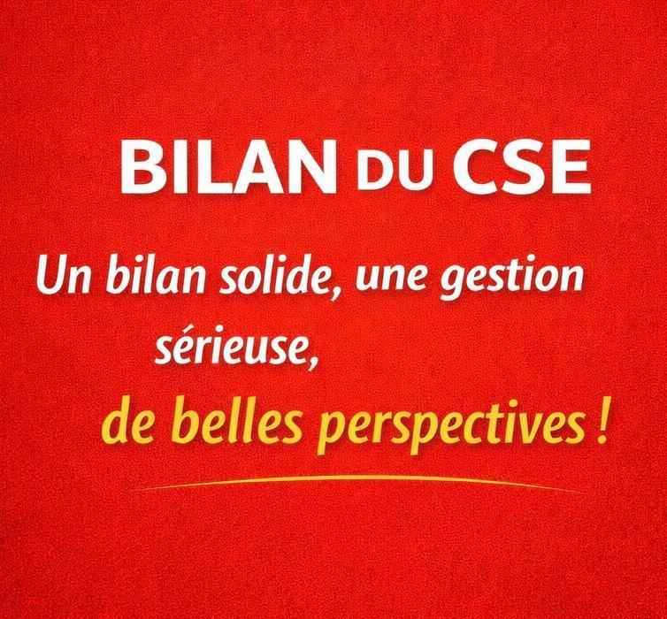 BILAN DU CSE BILAN DU CSE