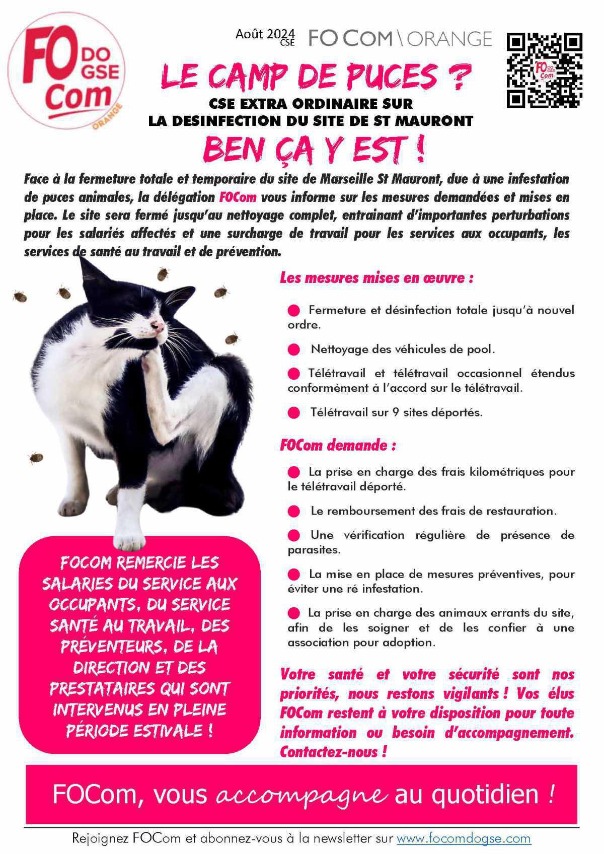 Le camp de puces... Nous y sommes ! Aprés la décla les inFOs !