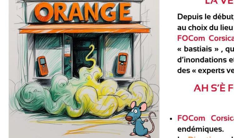 La vérité derrière l'inaction : Boutique de Bastia