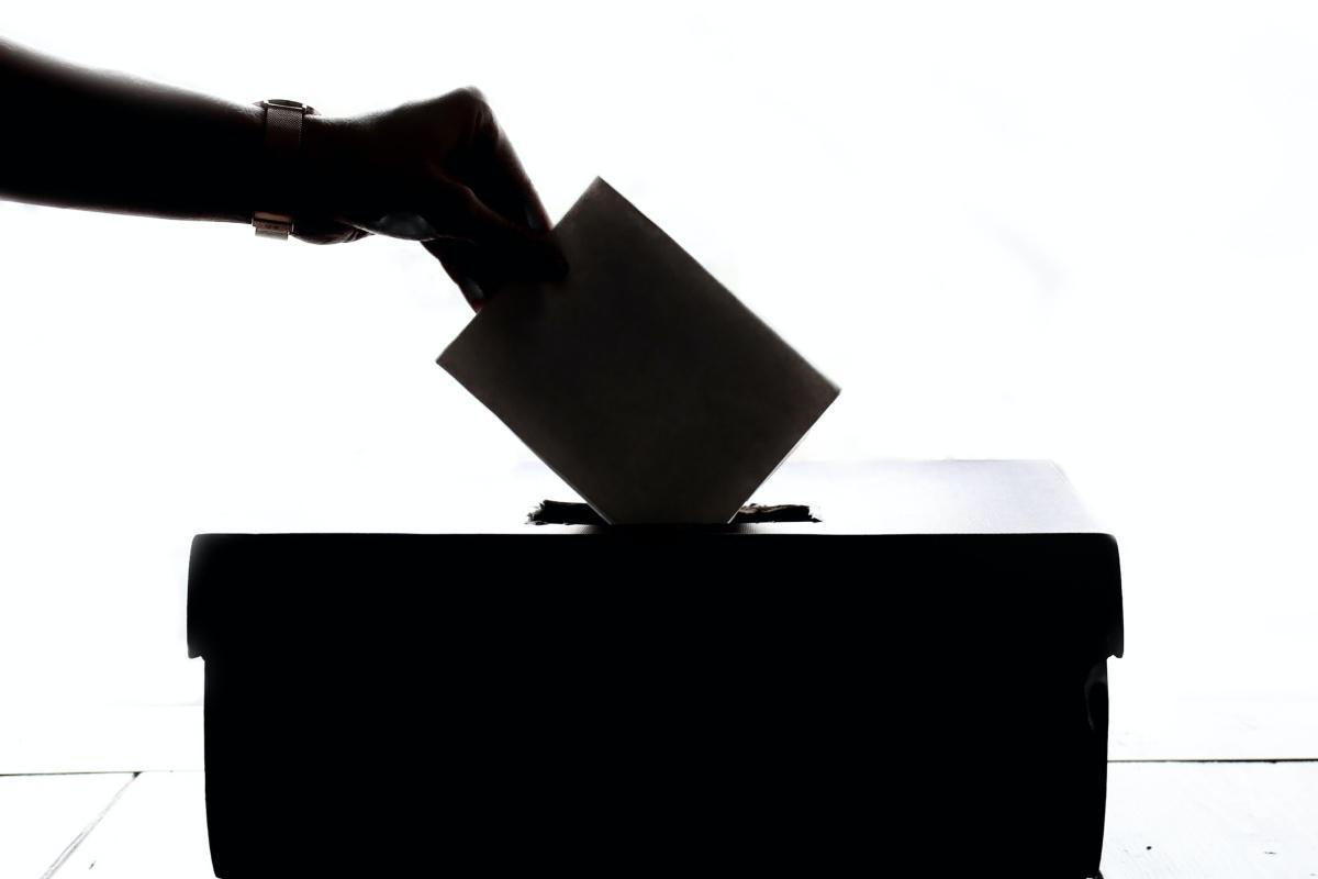 Elections professionnelles 2019