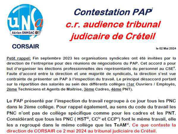 Elections CSE - Audience Tribunal judiciaire