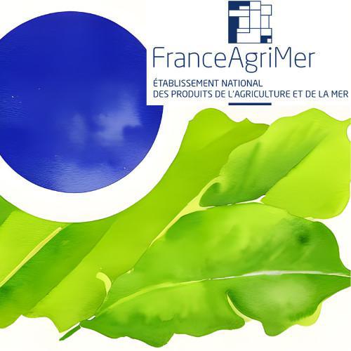 Décision de la DG FranceAgriMer- contrôles performances élevages ovins, bovins allaitants et ovins lait