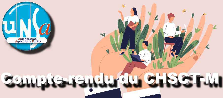 CR du CHSCT-M des 31 mai et 1et juin 2022 CR du CHSCT-M des 31 mai et 1et juin 2022