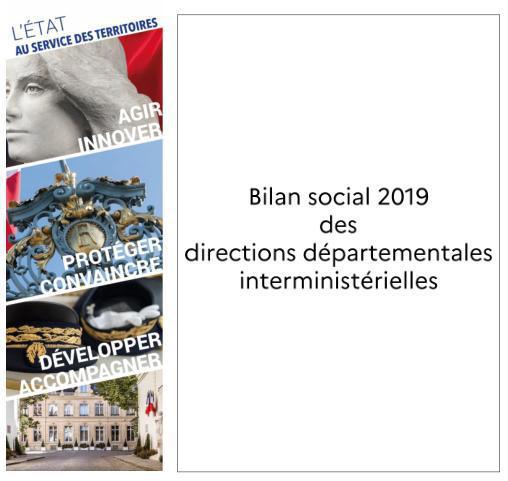 Bilan social 2019 des directions départementales interministérielles Bilan social 2019 des directions départementales interministérielles