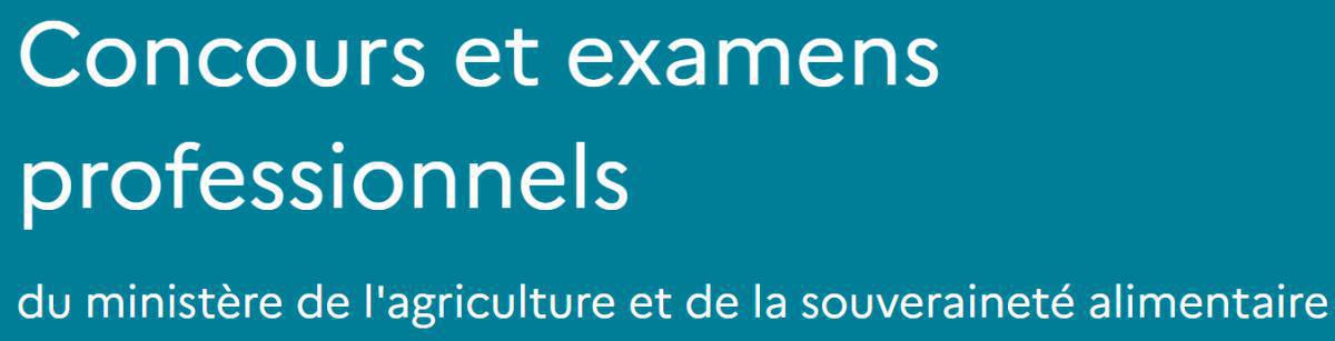 Examen pro IAE : résultats d'admissibilité Examen pro IAE : résultats d'admissibilité