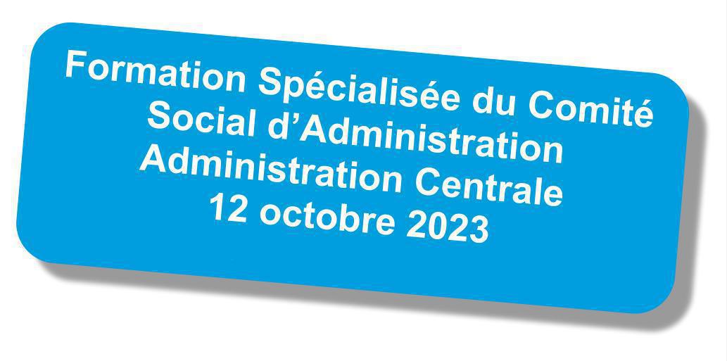 Formation spécialisée du CSA de l'Administration Centrale du 12 octobre 2023 Formation spécialisée du CSA de l'Administration Centrale du 12 octobre 2023