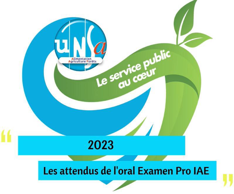 2023- Les attendus de l'oral examen Professionnel IAE