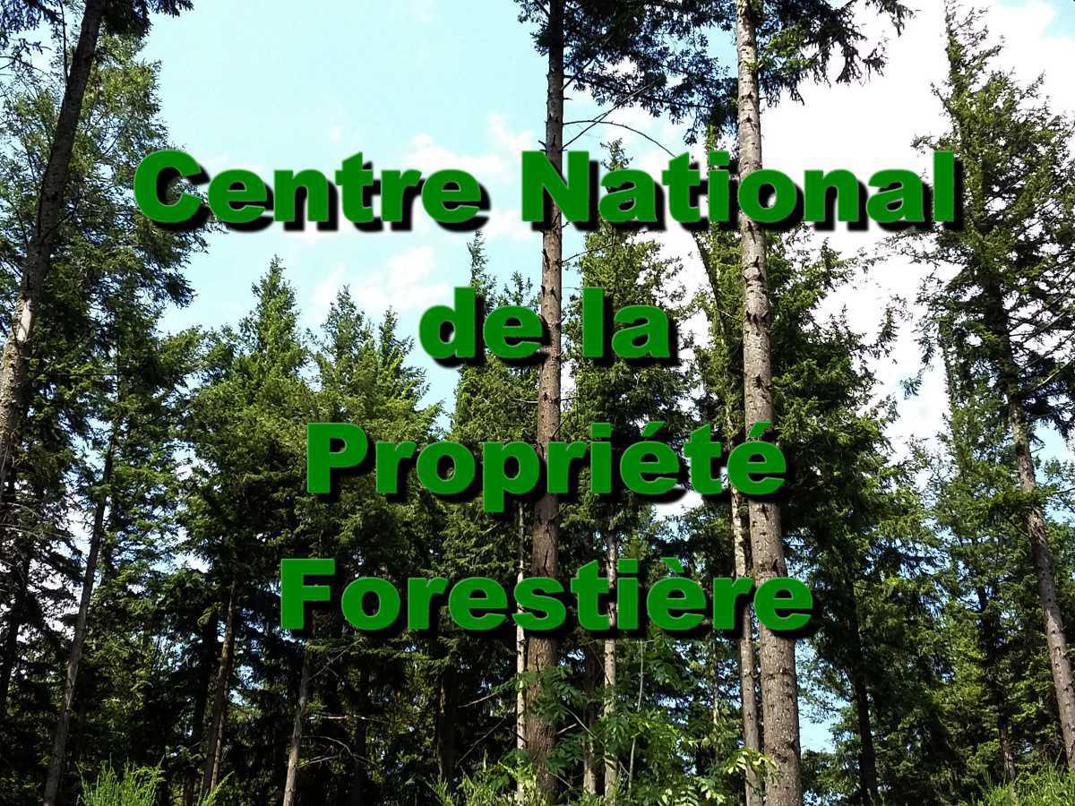 Présentation du CNPF (Centre National de la Propriéte Forestière) Présentation du CNPF (Centre National de la Propriéte Forestière)